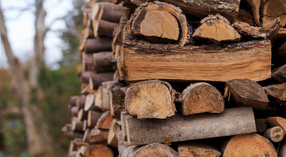 Die Bedeutung der Brennholzqualität für die Leistung des Kochers