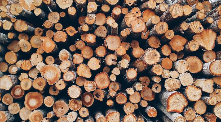 Warum sollten Sie im Frühjahr und Sommer Brennholz kaufen?