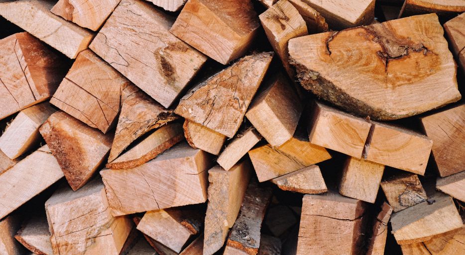 Vollständiger Leitfaden für die Reparatur von beschädigtem Holz