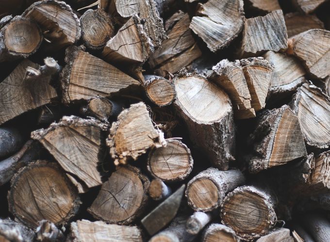 Tipps für die richtige Lagerung von Brennholz im Sommer