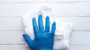 tragen Sie Handschuhe und eine Maske, um die Schimmelsporen nicht einzuatmen